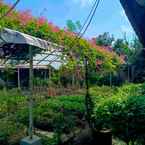 Review photo of de Daunan Guesthouse and Garden 6 from Brian M. N.