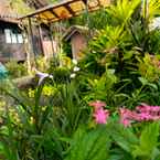 Review photo of de Daunan Guesthouse and Garden from Brian M. N.