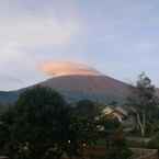 Ulasan foto dari NUANSA RINJANI dari Januarman M. P.