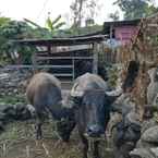 รูปภาพรีวิวของ Utopia Eco Lodge จาก Roche E.