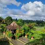 Imej Ulasan untuk Wapa di Ume Ubud 4 dari Nina A.