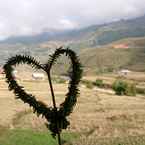 รูปภาพรีวิวของ Sapa Terrace View Homestay จาก Hong C. N. L.