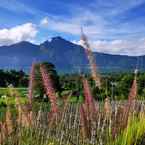 Hình ảnh đánh giá của The Breezy Volcano từ Ivana P. K.