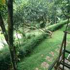 Review photo of Gunung Geulis Campsite 2 from Fanny F. D.