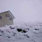 Review photo of Aoraki Court Motel from Michael A.