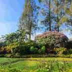 Review photo of Rumah Kebun Wulan - Lembang 2 from Chanita E.