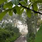 Review photo of Penginapan Widodo Syariah Borobudur 3 from Tanjung D. K.