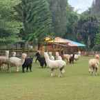 Ulasan foto dari Grand Mutiara Hotel Brastagi 5 dari Siwan S.