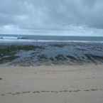 Ulasan foto dari Beach View at D'Omah Slili dari Garet A. M.