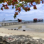 Review photo of Mangrove Eco Resort from Putri E.