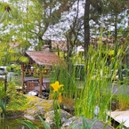 Review photo of Vila Air Natural Resort from Fella F.