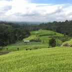 Imej Ulasan untuk Desa Atas Awan Eco-Boutique Hotel dari Ayu P. Y.