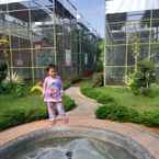 Review photo of Wisata Edukasi and Resort Kebun Pak Budi 3 from Indra M.