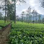 Ulasan foto dari Resort Agrowisata Perkebunan Tambi 3 dari Ida F.