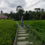 Review photo of Vrindavan Ubud Villa 4 from Feliciany N.