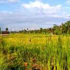 Imej Ulasan untuk Umasari Rice Terrace Villa 4 dari Yoyok K.