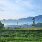 รูปภาพรีวิวของ Shanaya Borobudur 2 จาก Terry O. W.