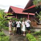 Ulasan foto dari Ayu Hill Bungalows Nusa Penida dari Desiana M.