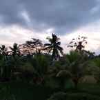 Review photo of Ubud Sawah Scenery & Homestay from Anton A.