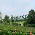 Ulasan foto dari Kebun Mawar Situhapa 7 dari Muhammad R.