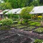 Review photo of de Daunan Guesthouse and Garden from Agung P.