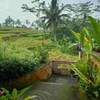 Hình ảnh đánh giá của Dukuh Village Villas từ Ifa I.