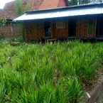 Review photo of Alea Guesthouse from Sigit P.