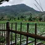 รูปภาพรีวิวของ Mikroba Hostel Dieng 2 จาก Fany S.