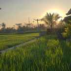 Ulasan foto dari Uma Sebatu dari Agung W.