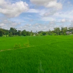 Hình ảnh đánh giá của Giori Rice Field View 2 từ Nadia N. S.