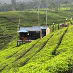 Review photo of Bobocabin Pangalengan, Bandung from Albi P.