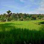 Review photo of Villa Sawah Resort from Yenni A.