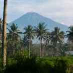 Review photo of Penginapan Widodo Syariah Borobudur 2 from Erwan E.