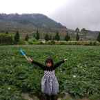 Imej Ulasan untuk Homestay Kemangi Syariah Dieng dari Nurul E.