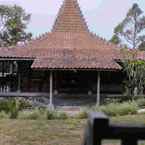 Review photo of Rumah Jawa Antik from Dimas S. P.