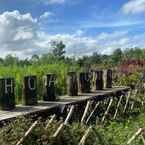 Ulasan foto dari Bungalow - Farmstay Hoa Rung U Minh 2 dari Hanh H.