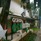 Review photo of Coron Ecolodge from Jerson R. R. Y.