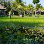 Review photo of Kampung Artis Bali 6 from Muhammad F.