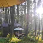 Review photo of Bobocabin Cikole, Bandung 2 from Irlan P.