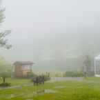 Review photo of The Manor at Camp John Hay from Milvic P. B.