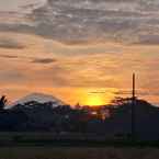 Imej Ulasan untuk Umasari Rice Terrace Villa dari Gusti A. D. M. D.