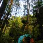 Imej Ulasan untuk Curug Batu Gede Cisuren Camping Ground dari Nofi S.