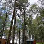 รูปภาพรีวิวของ Bobocabin Coban Rondo ,Malang 6 จาก Almira A. A.