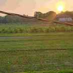 Ulasan foto dari D' Sawah Guesthouse Klaten dari Eka S.