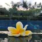 Review photo of Sambi Resort, Spa & Restaurant 5 from Estu A.