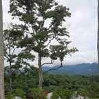 Imej Ulasan untuk Dmangku Farm dari Mimin N.