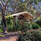 Review photo of Port Stephens Koala Sanctuary 2 from Michael A.
