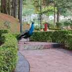 รูปภาพรีวิวของ Dalat Edensee Lake Resort & Spa จาก Nguyen C. T.