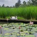 Review photo of Jembarati Family Lodge Yogyakarta 4 from Ayoe B. A.