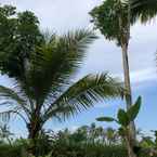 Imej Ulasan untuk Jungle Bubble Lodge Ubud dari Mega D.